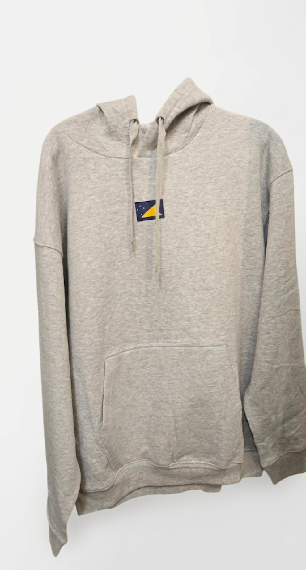 DWLF Grey Hoodie